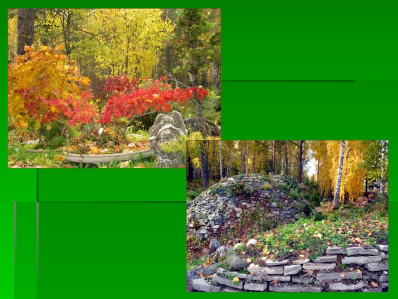 Реферат: Ботанический сад США