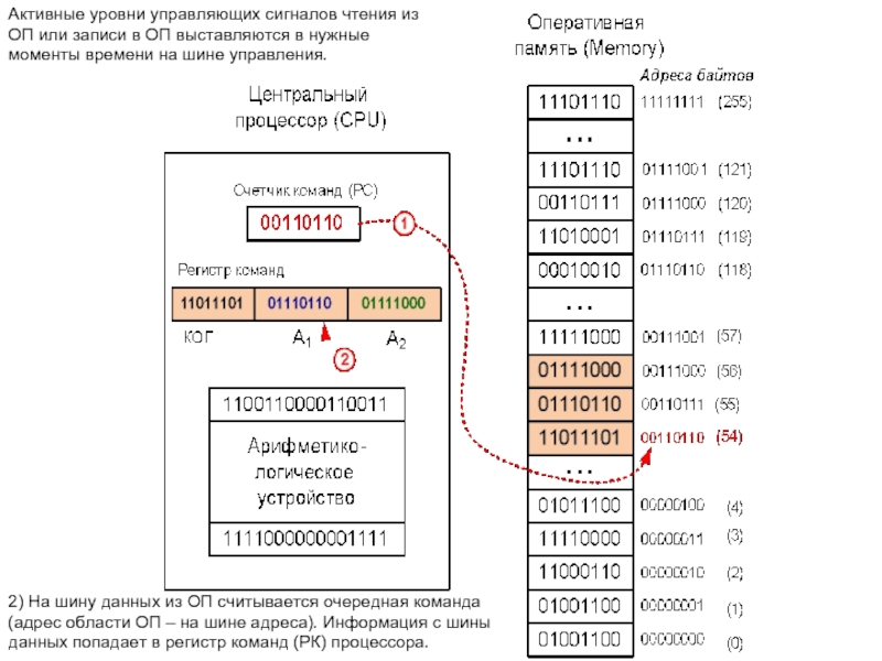 Регистр команд процессора. Счетчик адреса команд. Команды процессора на шину управления. По какой шине команды попадают в процессор. Шина считываются данные ошибок.