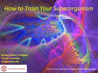 How to Train Your Superorganism