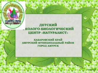 ДЕТСКИЙ ЭКОЛОГО-БИОЛОГИЧЕСКИЙ ЦЕНТР НАТУРАЛИСТ ХАБАРОВСКИЙ КРАЙАМУРСКИЙ МУНИЦИПАЛЬНЫЙ РАЙОНГОРОД АМУРСК