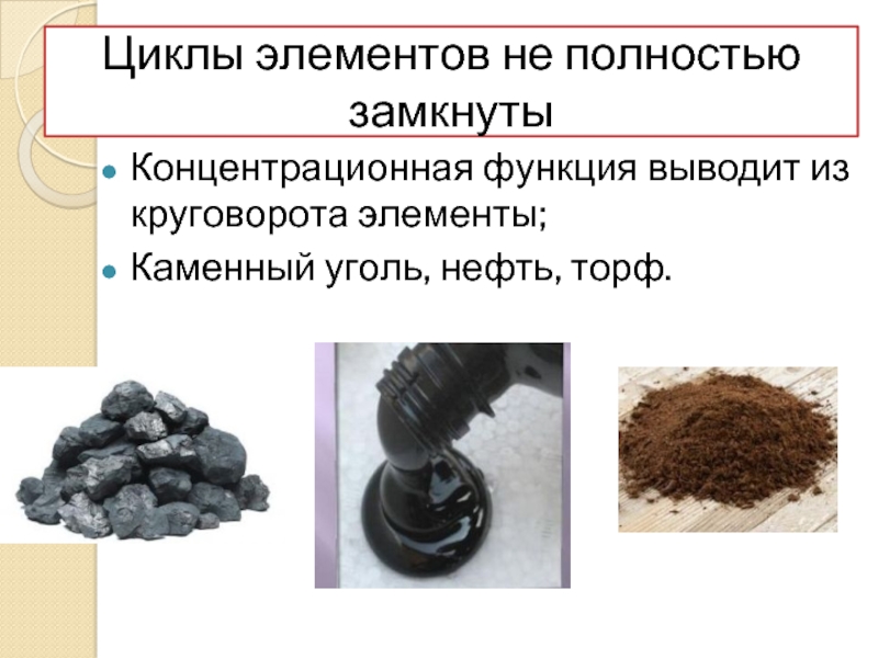 Установите соответствие каменный уголь нефть. Каменный уголь и торф. Торф каменный уголь нефть. Сравни каменный уголь и торф. Торф и каменный уголь сходства.
