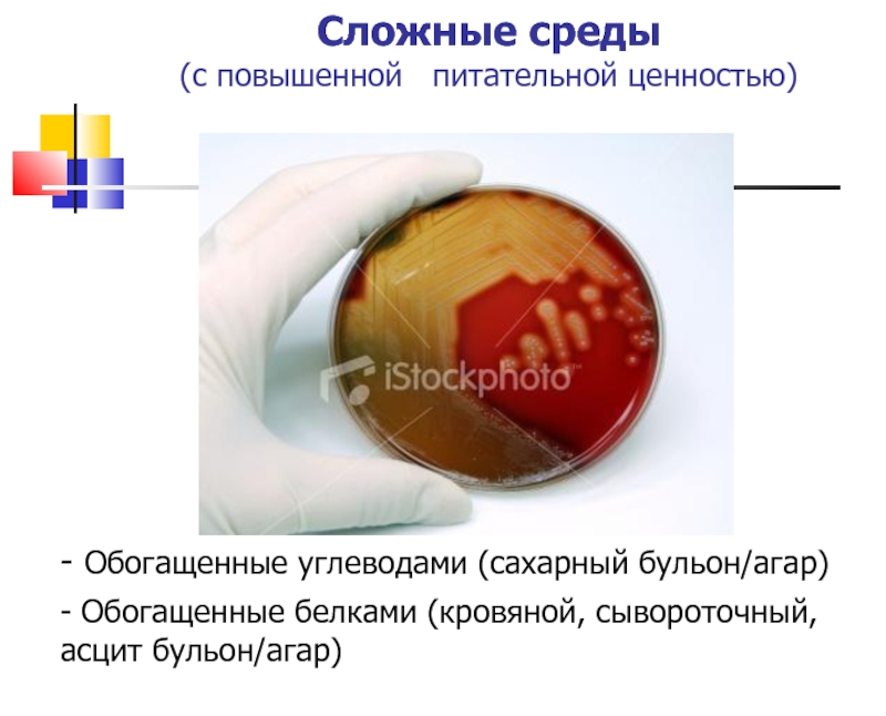 Посев на сахарном бульоне