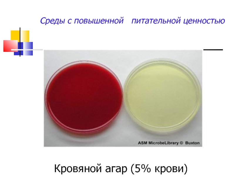 Питательные среды микробиология презентация