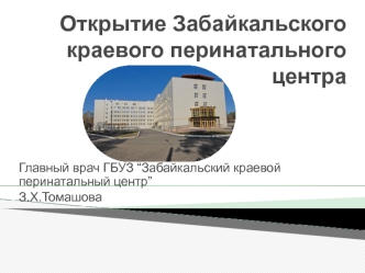 Открытие Забайкальского краевого перинатального центра