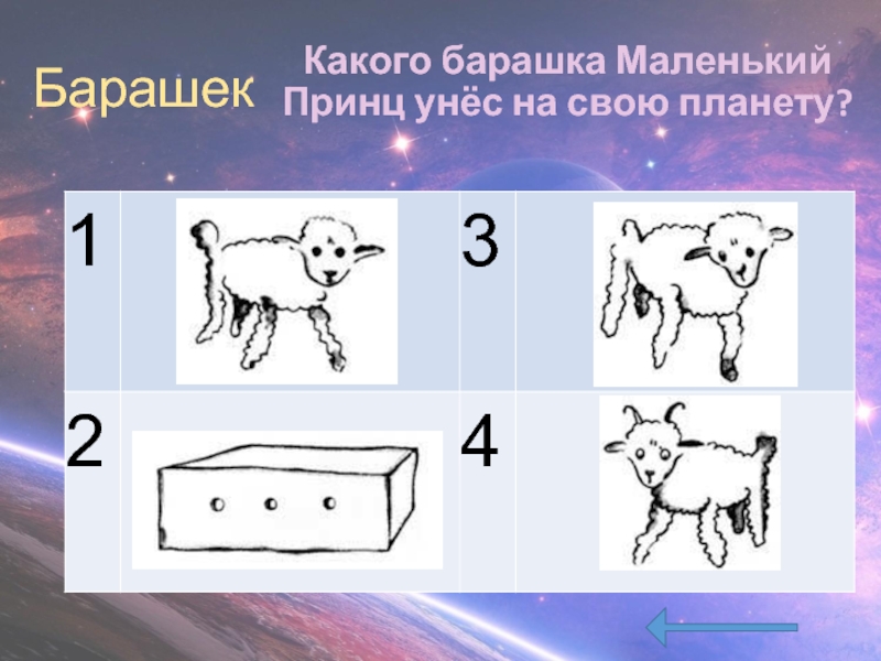 Почему маленький принц просит нарисовать намордник для барашка