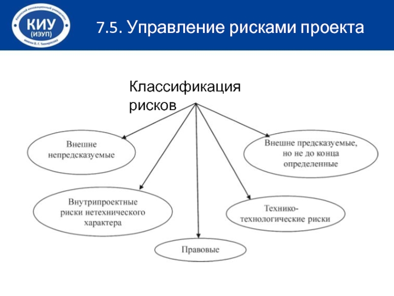 7 управление. Пирамида рисков проекта. Характеристика институциональных подсистем проекта. Пирамида риск-менеджмента в таможенном деле. Институциональные риски.