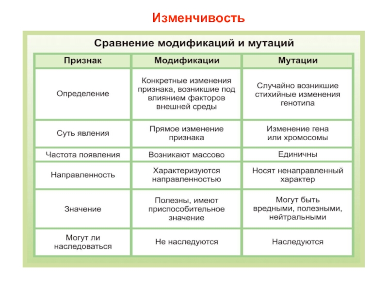 11 заполните схему виды изменчивости