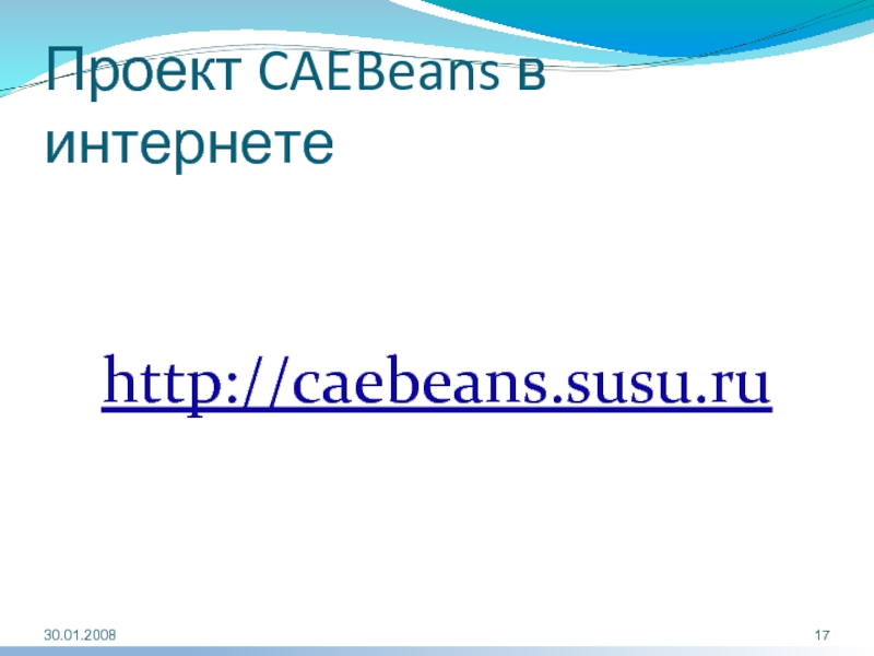 Проект CAEBeans в интернете    http://caebeans.susu.ru  30.01.2008