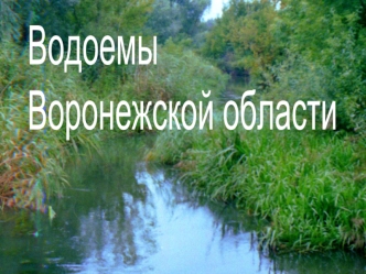 Водоемы
Воронежской области