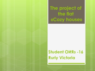 The project of the flat Cozy house
