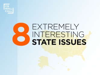 8 Extremely Interesting State Issues
