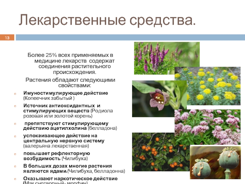 Соединения растительного происхождения. Противоаритмические лекарственные растения. Антиоксиданты в лекарственных растениях. Лекарственные растения растительного происхождения. Растения обладающие лекарственными свойствами.