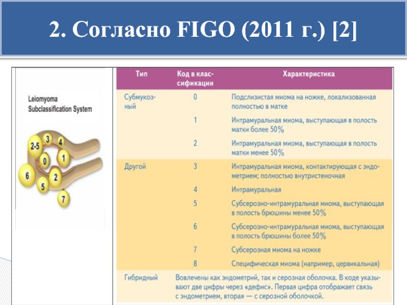 Фиго миома классификация фото