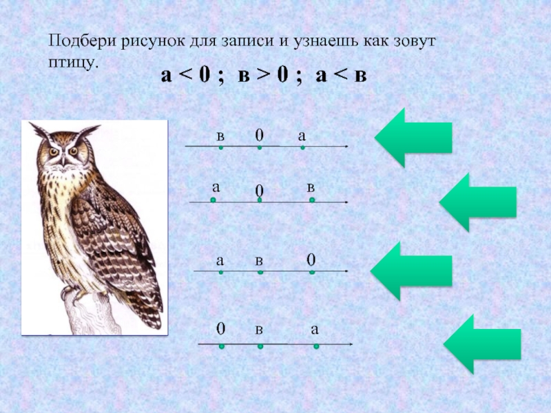 13 выбери