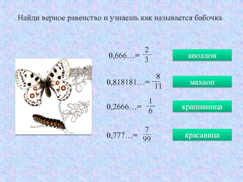 Найди верное 2 4 6 4. Как называется верное равенство. Ребус Аполлон бабочка. Бабочка 666.