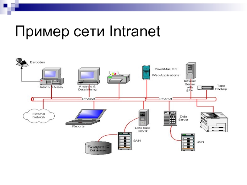 Пример сети Intranet
