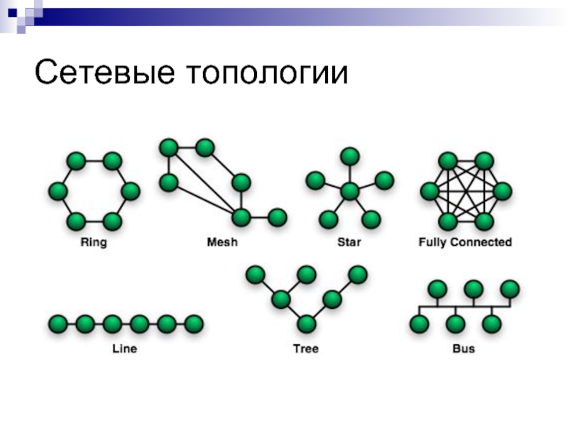 Сетевые топологии