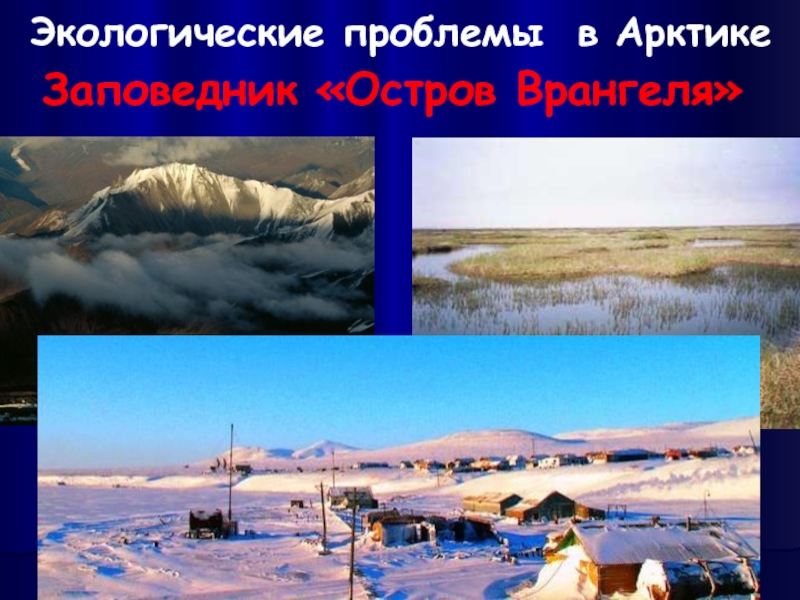 Экологические проблемы в АрктикеЗаповедник «Остров Врангеля»