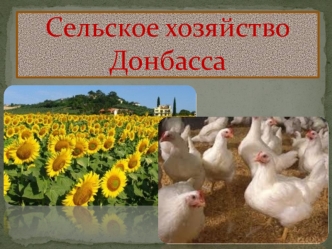 Сельское хозяйство Донбасса