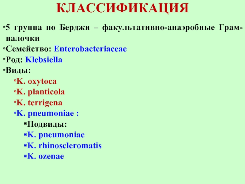 5 классификация. 5 Группа по Берджи. Классификация энтеробактерий по Берджи. Систематика энтеробактерий.