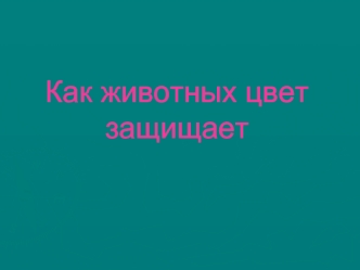 Как животных цвет защищает