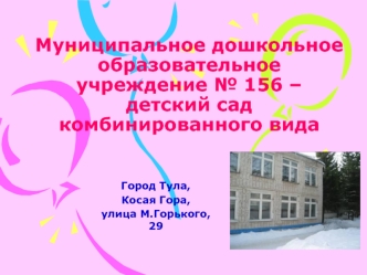 Муниципальное дошкольное образовательное учреждение № 156 – детский сад комбинированного вида