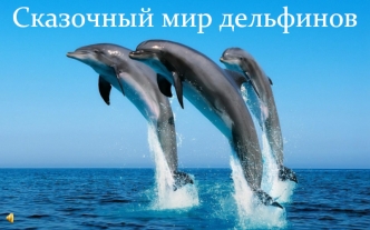 Сказочный мир дельфинов