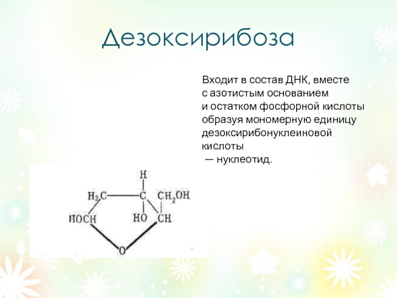 Дезоксирибоза в составе нуклеотида. Дезоксирибоза. Состав дезоксирибозы. Дезоксирибоза полисахарид. Дезоксирибоза реакции.