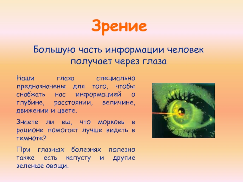 Глаз составить слова. Презентация на тему органы чувств. Сообщение о органе чувств. Органы чувств доклад. Сообщение о органе зрения.