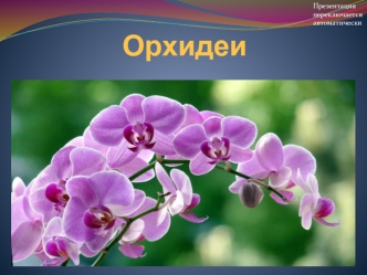 Орхидеи. Классификация