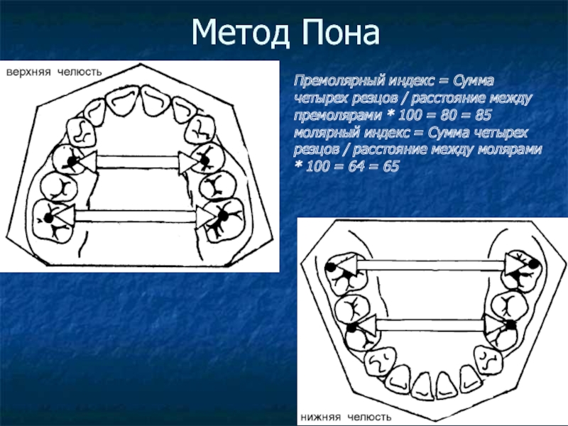 Селена 210 212 схема