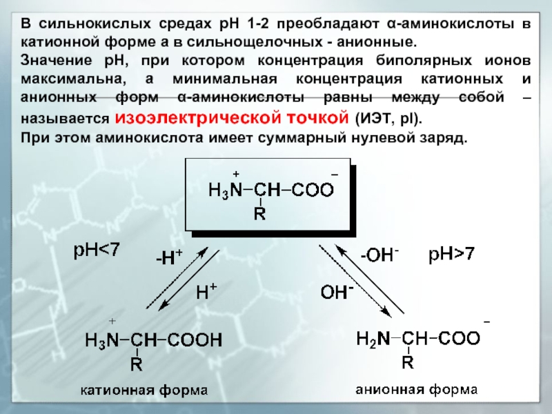 Тест амины 10