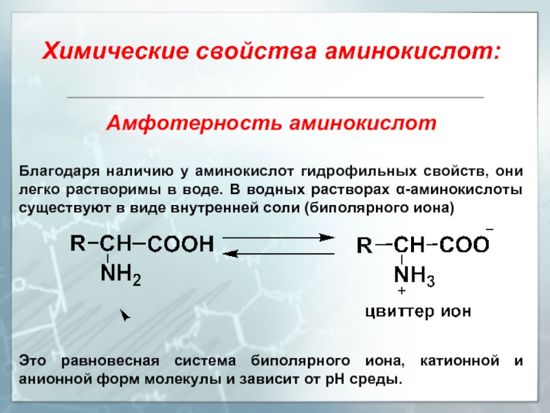 Аланин проявляет амфотерные свойства. Химические свойства аминокислот Амфотерность. Амфотерность аминокислот реакции. Амфотерный характер аминокислот. Химические свойства аминокислот.