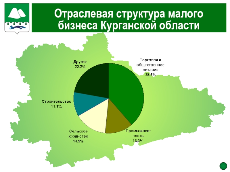 Курганская область проект