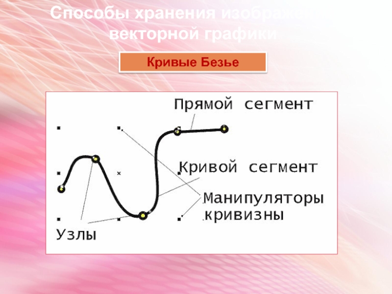 История разработки кривых Безье. Кривые Безье в векторной графике. Кривые Безье рисунки. Кривые Безье в природе.