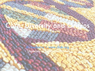 Corn: Diversity and Origins