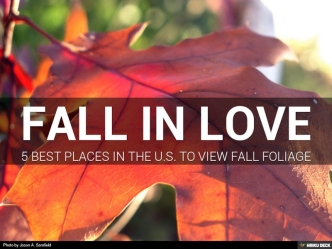 5 Best Places in the U.S. to View Fall Foliage