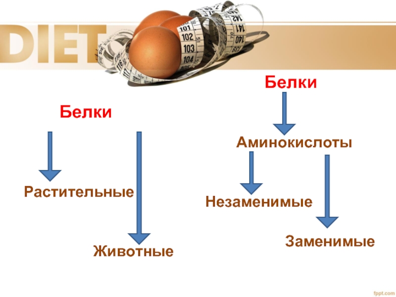 Незаменимые аминокислоты в животном белке