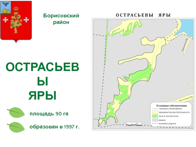 Острасьевы яры презентация