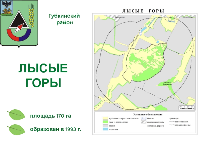 Лысые горы тамбовская область карта