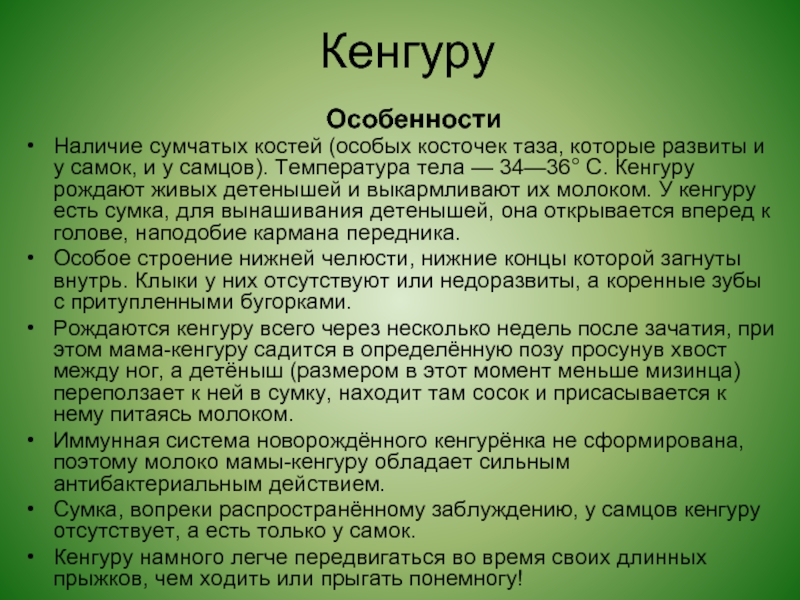 Рано значение. Особенности строения кенгуру. Особенности строения сумчатых. Сумчатые характеристика. Температура тела сумчатых.