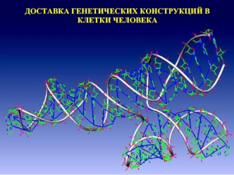 Доставка генетических конструкций в клетки человека. (Лекция 6)