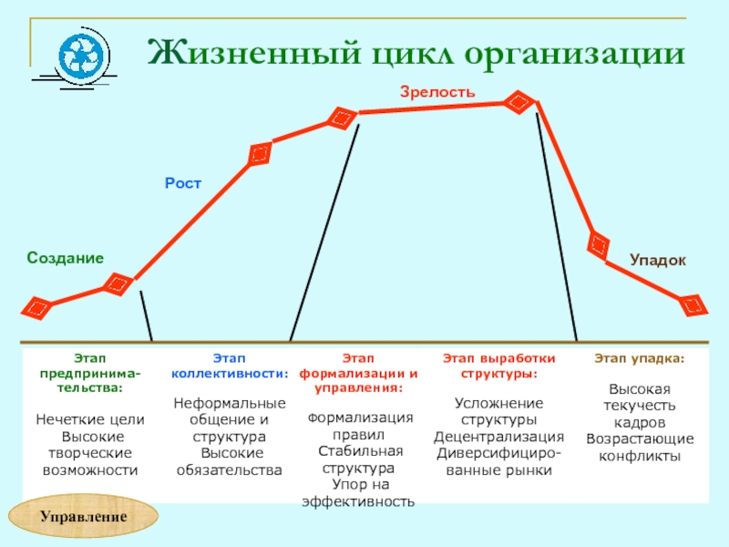 Жизненные этапы предприятия. Фазы жизненного цикла организации. Жизненный цикл организации. Этапы жизненного цикла. Стадии жизненного цикла фирмы. Стадия (фаза) жизненного цикла предприятия.