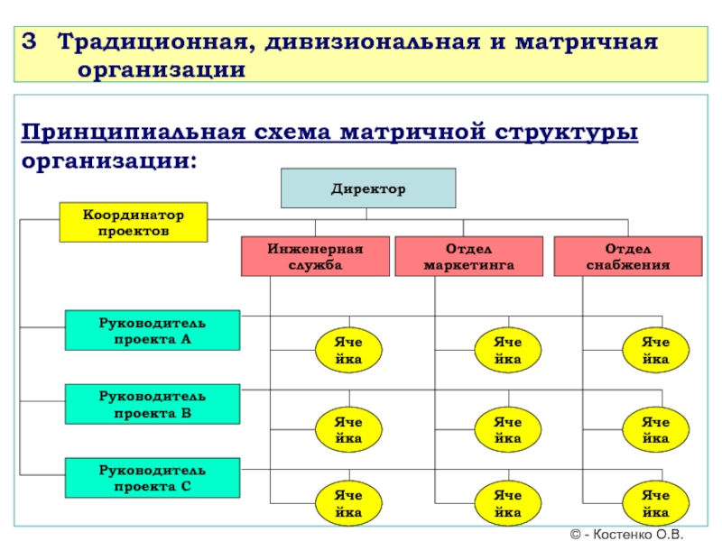 Дивизионально матричная структура