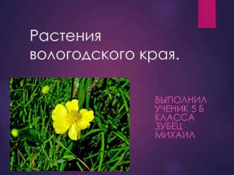 Растения Вологдского края