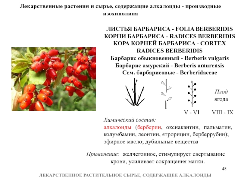 Лрс содержащие алкалоиды презентация