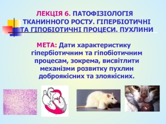 Патофізіологія тканинного росту. Гіпербіотичні та гіпобіотичні процеси. Пухлини. (Лекція 6)