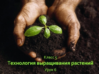 Класс 5Технология выращивания растенийУрок 6
