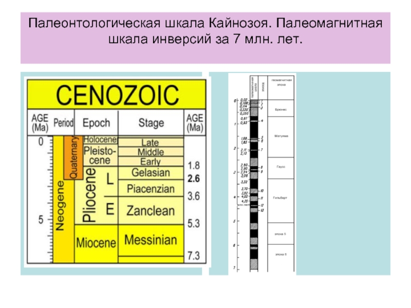 Палеонтологическая шкала Кайнозоя. Палеомагнитная шкала инверсий за 7 млн. лет.