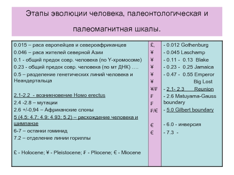 Этапы эволюции человека, палеонтологическая и палеомагнитная шкалы.